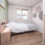 Vakantiehuis Groepsaccommodatie Met Hottub En Sauna | 18 Personen *